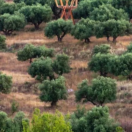 Holiday home Koriani Farm *